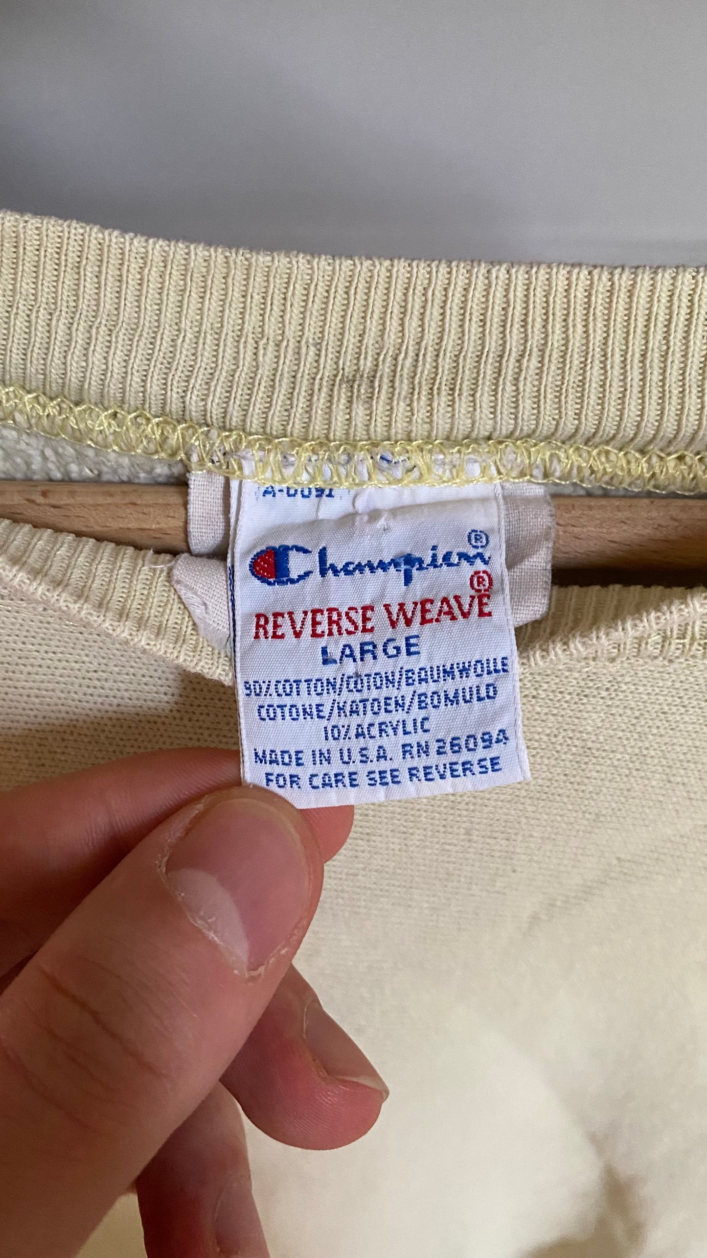 c.1990 Champion Reverse Weave sweatshirt